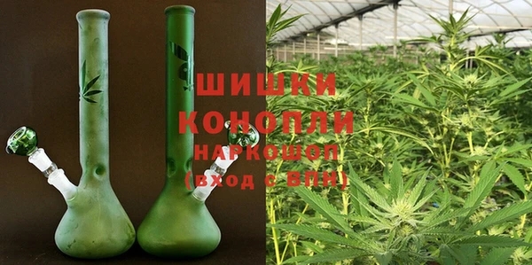2c-b Горнозаводск