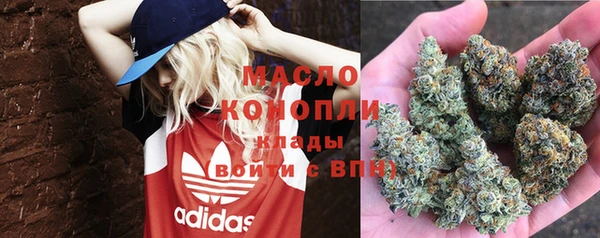 2c-b Горнозаводск
