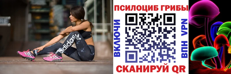 Купить где  Орлов  Галлюциногенные грибы Magic Shrooms 